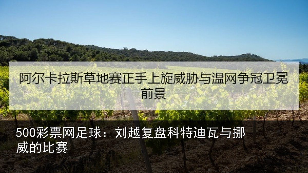 500彩票网足球:刘越复盘科特迪瓦与挪威的比赛