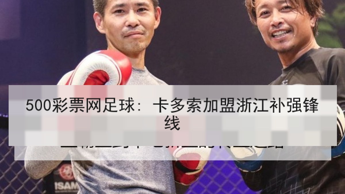 500彩票网足球: 卡多索加盟浙江补强锋线