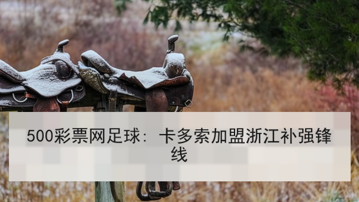 500彩票网足球: 卡多索加盟浙江补强锋线