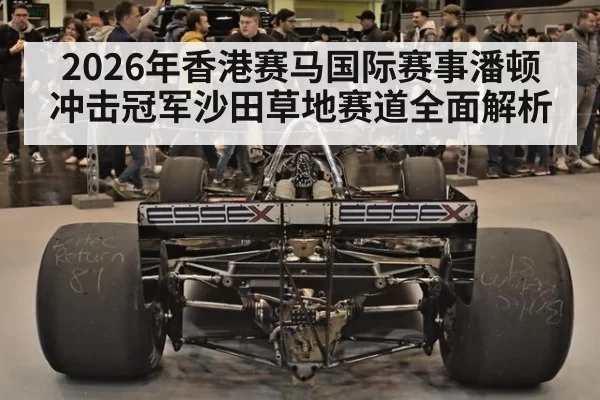 2026年香港赛马国际赛事潘顿冲击冠军沙田草地赛道全面解析